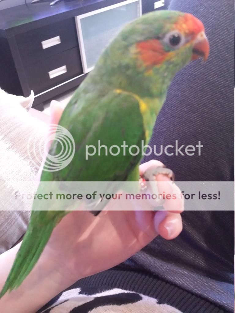 20140619_120112_zpsjhthgav1.jpg