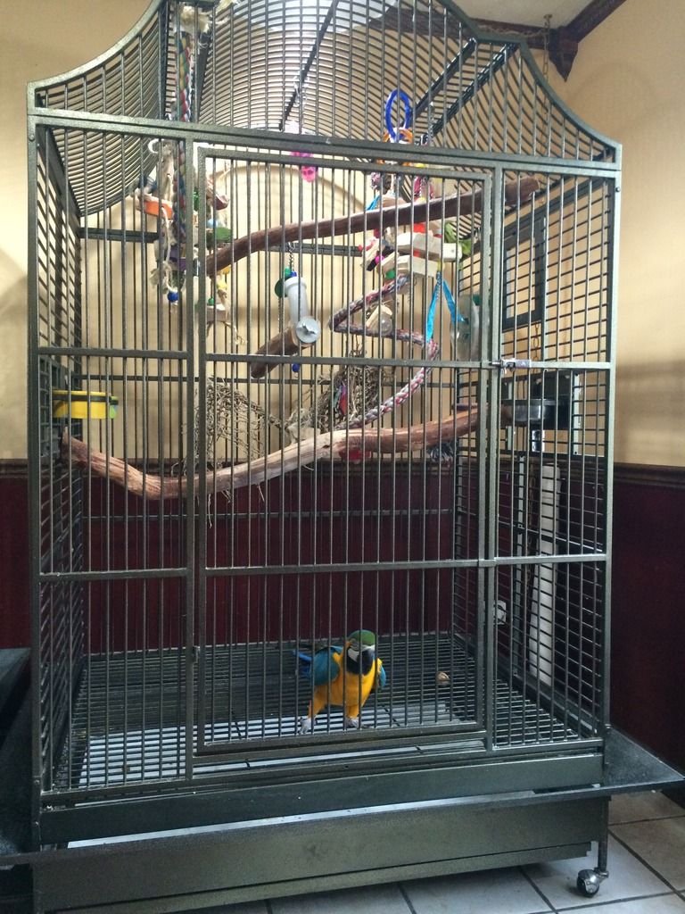 Cages%20007_zpsbrouslis.jpg