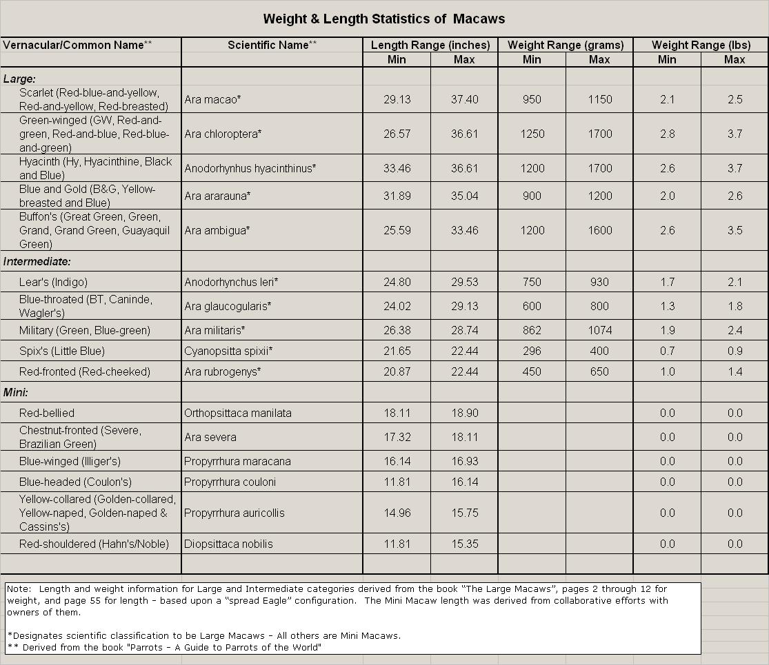 macaw_size_chart.jpg