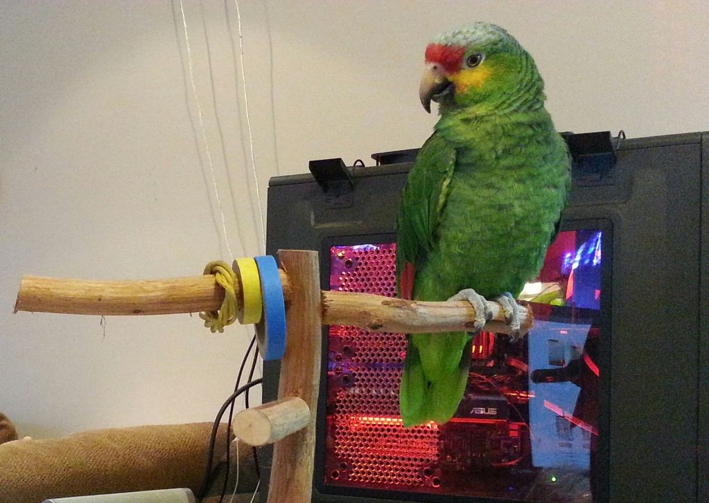 20121218_094803-1.jpg