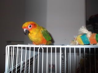 DSCF1157.jpg