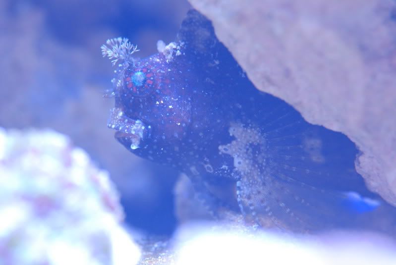 DSC_0135.jpg