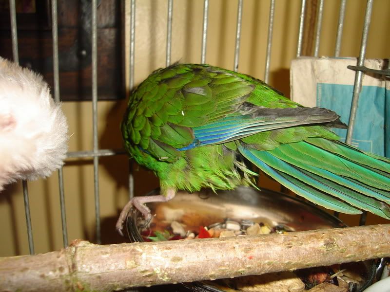 DSC00837.jpg