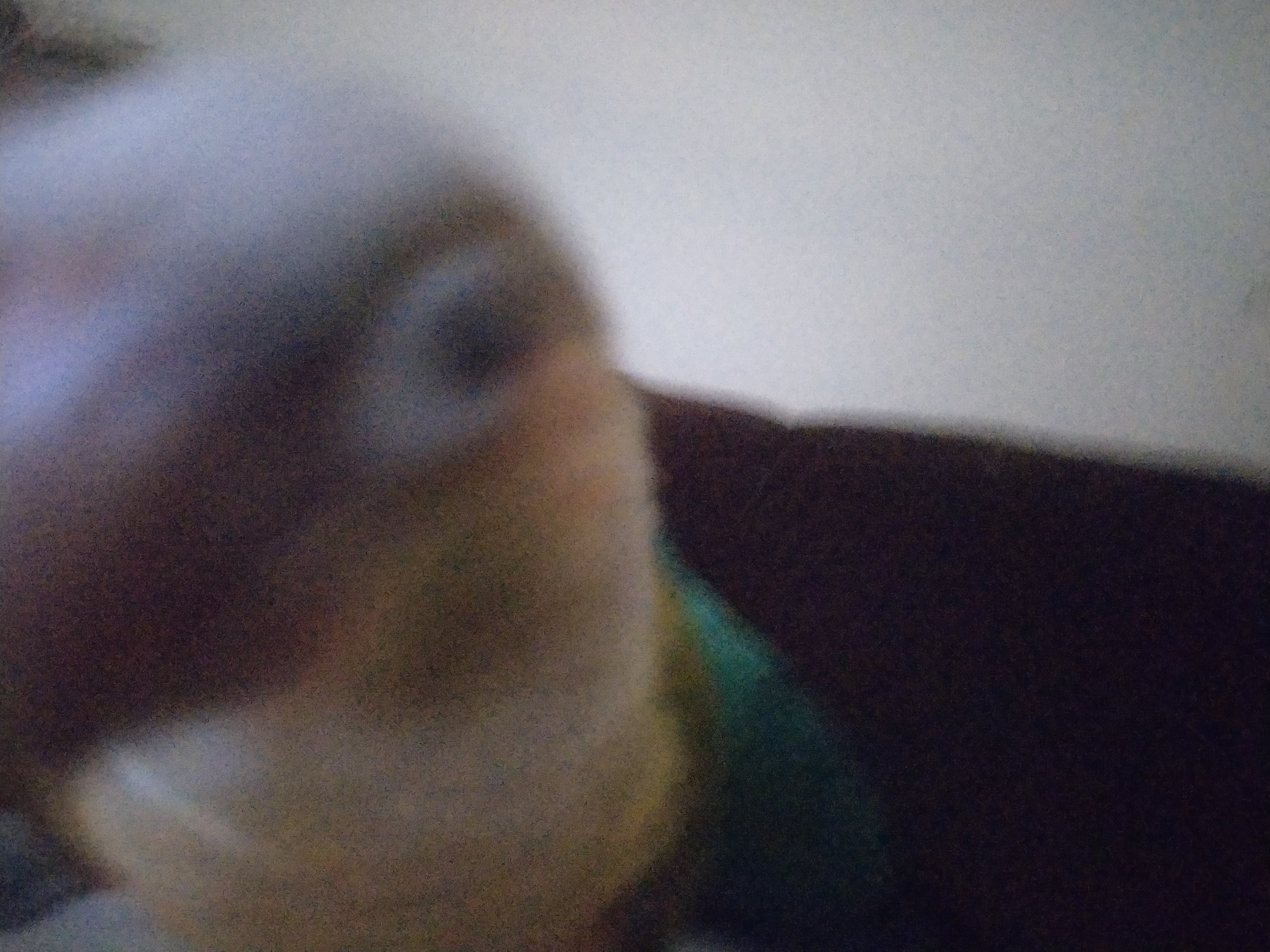 bb0cOR4.jpg
