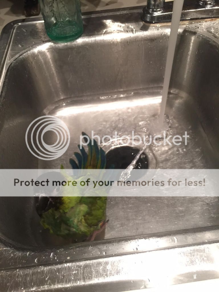 conurebath2_zpswhg3tpqm.jpg