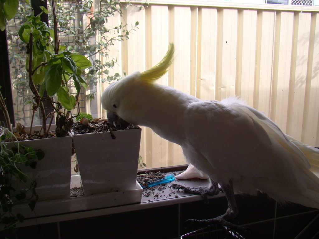 DSC03140.jpg
