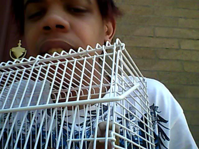 Snapshot_20120415_1.jpg
