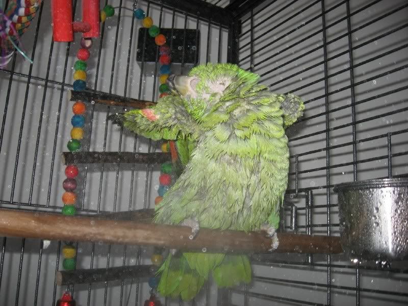 BathTime.jpg