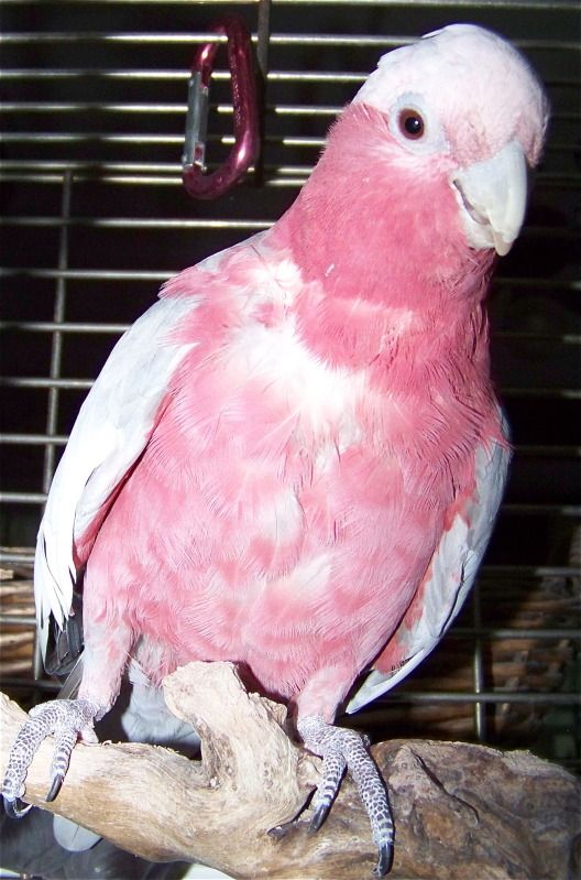 100_9566.jpg