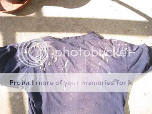 IMG_3798.jpg