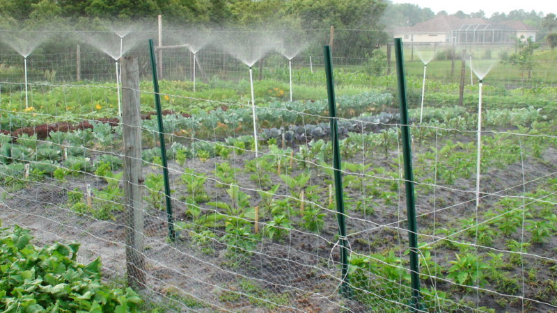 dsc00596-jpg.18894