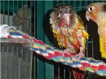 Memo112310-2.jpg
