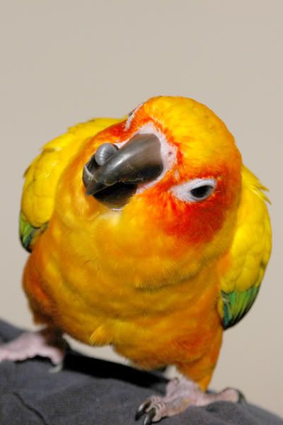 DSC_5223.jpg