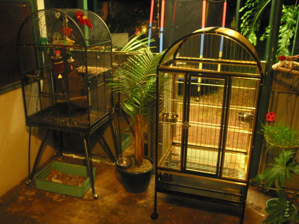 dogsandbirdcages021.jpg