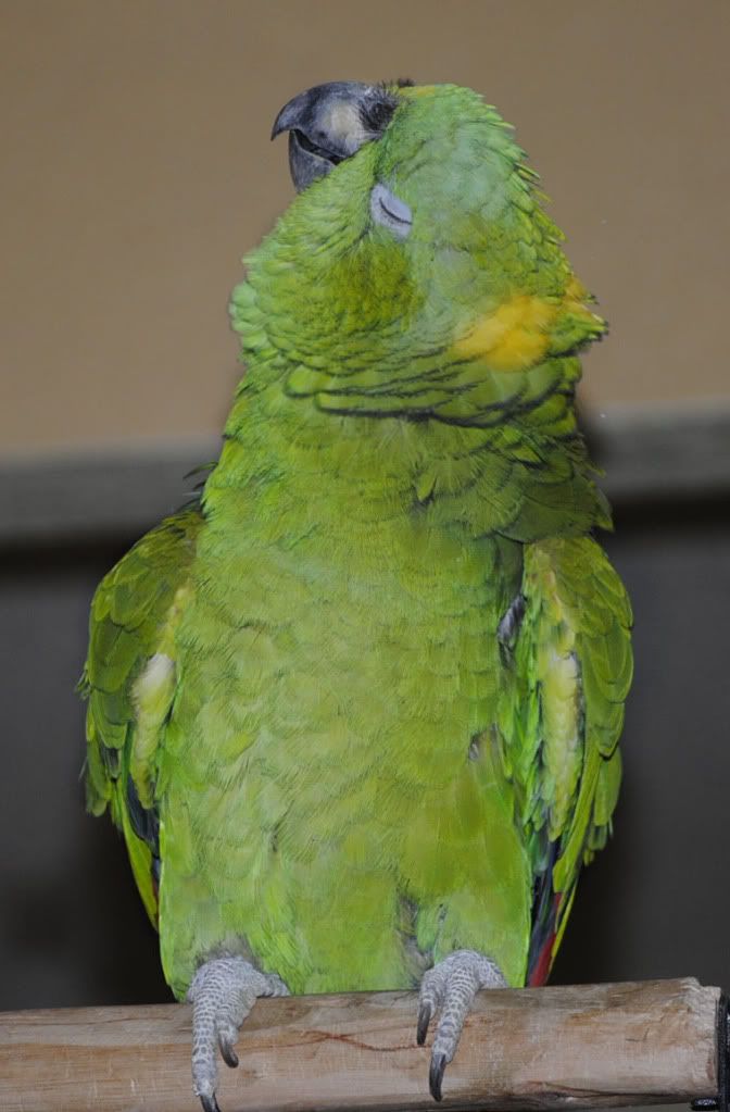 20100211_11.jpg