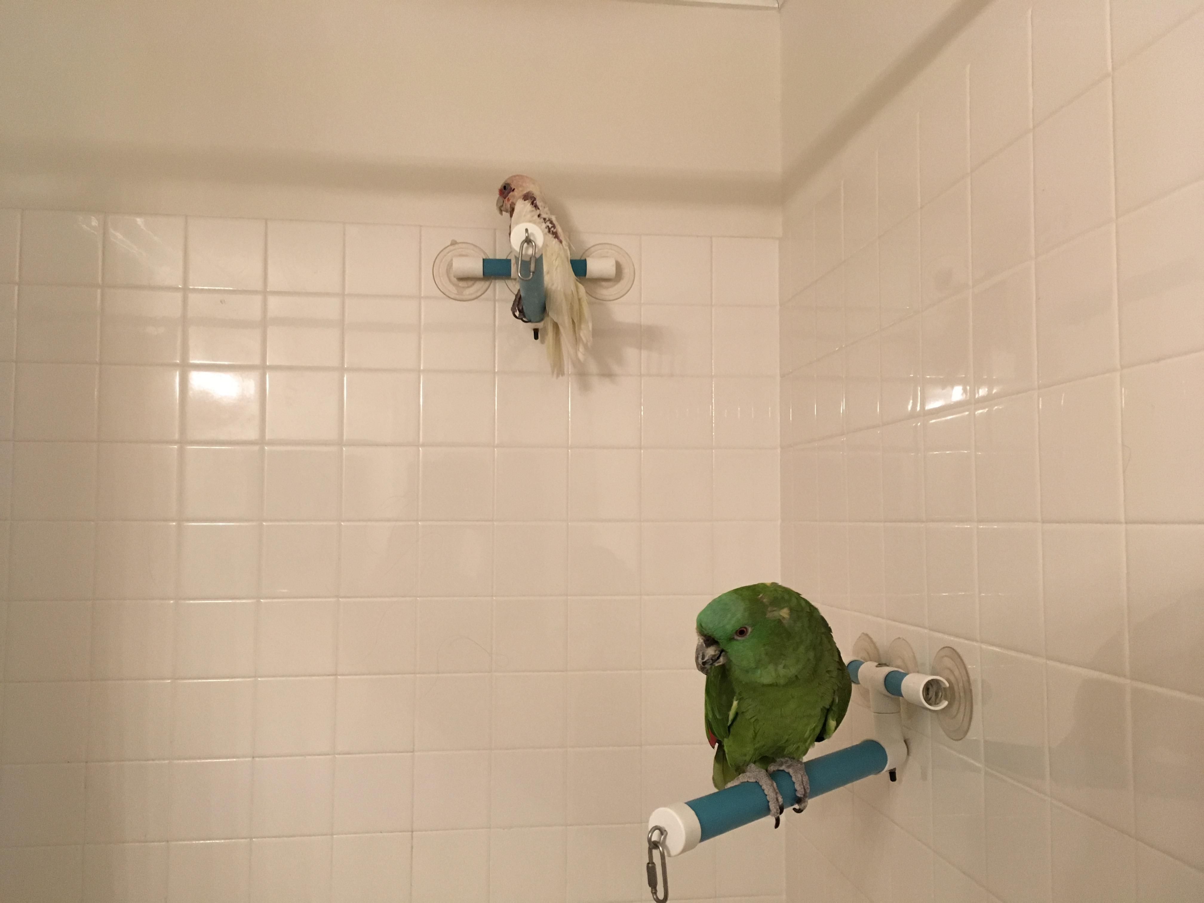 JSqXOBR.jpg