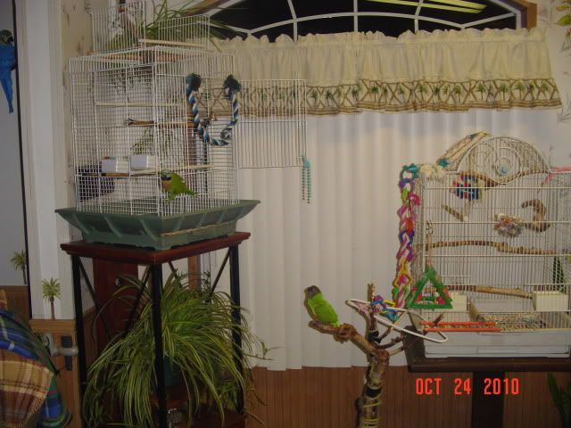 002-7.jpg