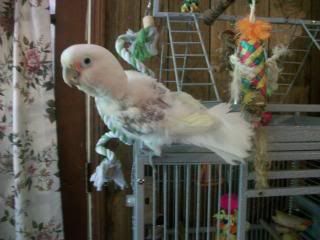 100_2011.jpg