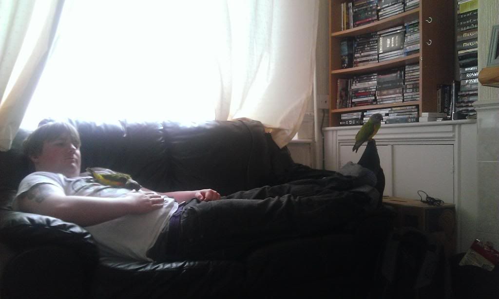 WP_20130728_001_zps146bed94.jpg