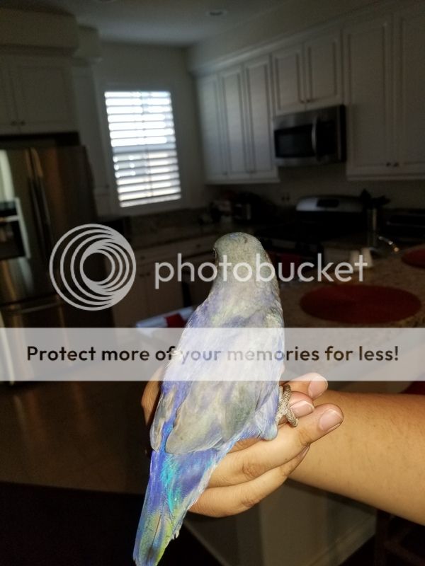 20180626_154933_1.jpg