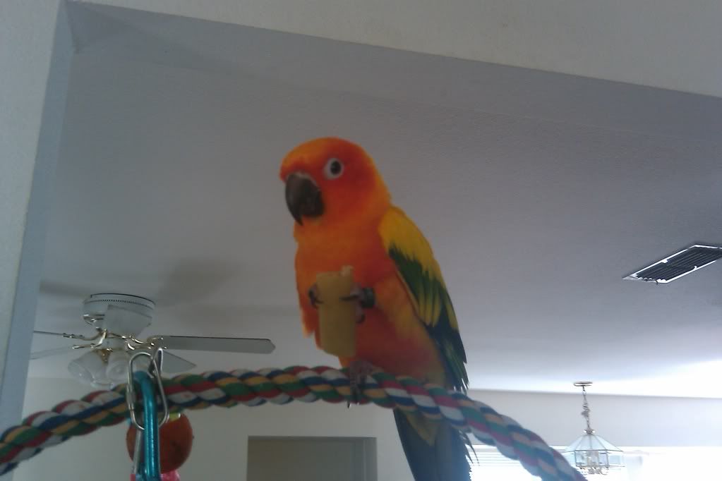 IMAG0131.jpg
