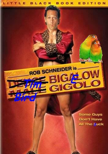 TimBigalowBirdGigolo.jpg