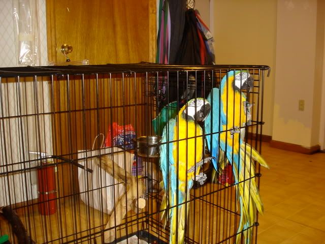 DSC07254.jpg