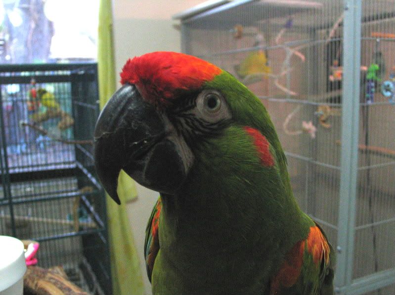 1152011006.jpg