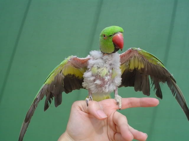 dsc01643.jpg