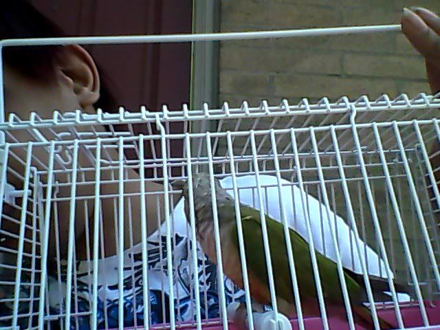 Snapshot_20120415_3.jpg