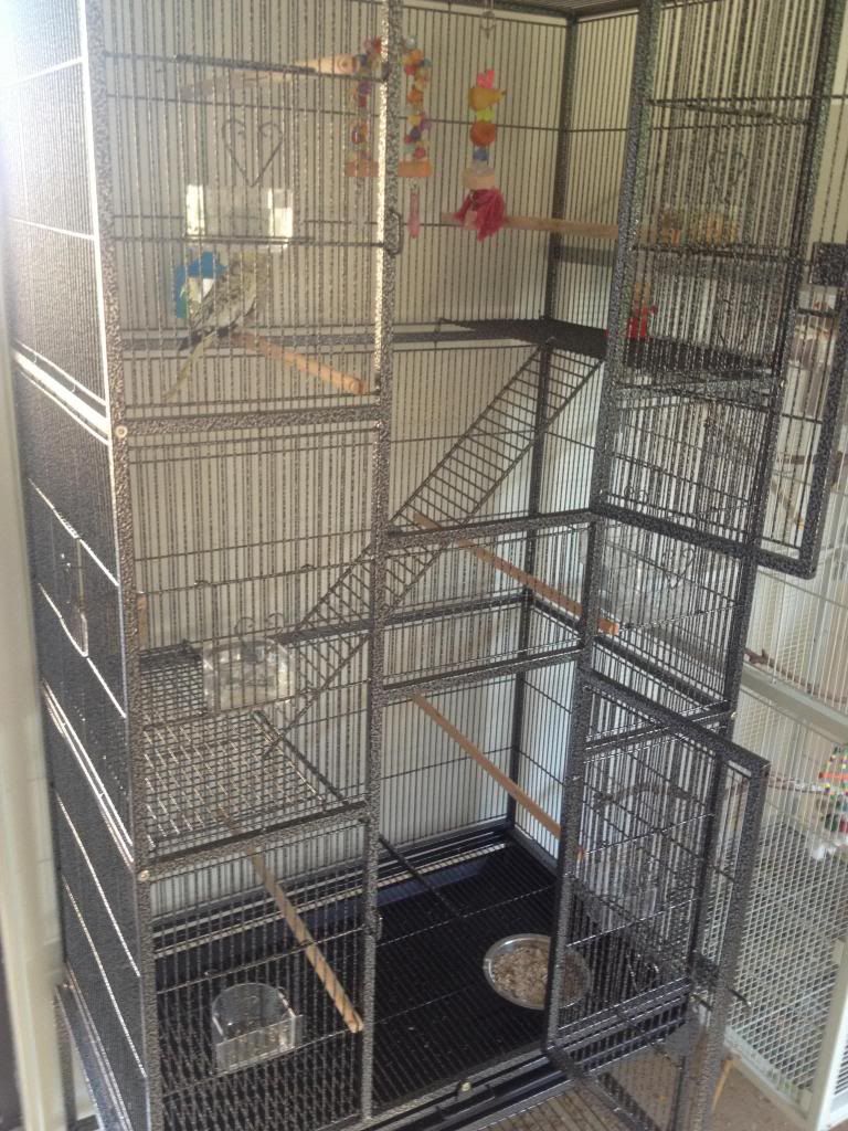 newcage_zpsfcf38cd9.jpg