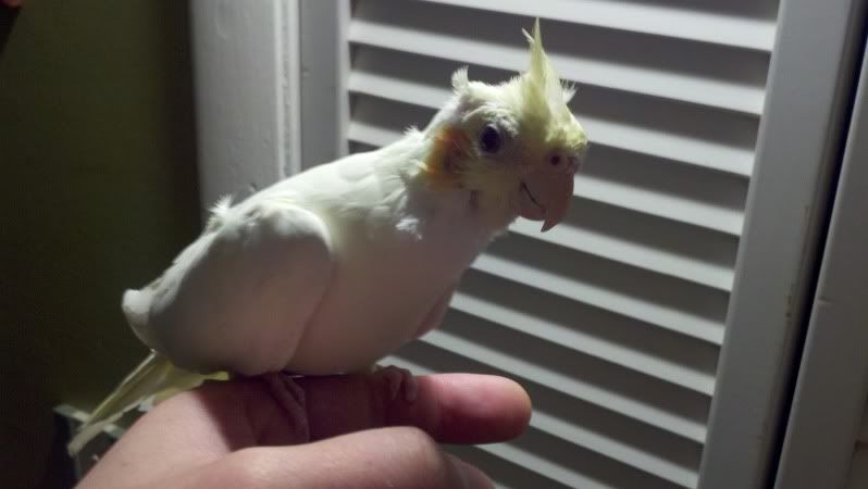 2011-11-18_02-00-16_702.jpg