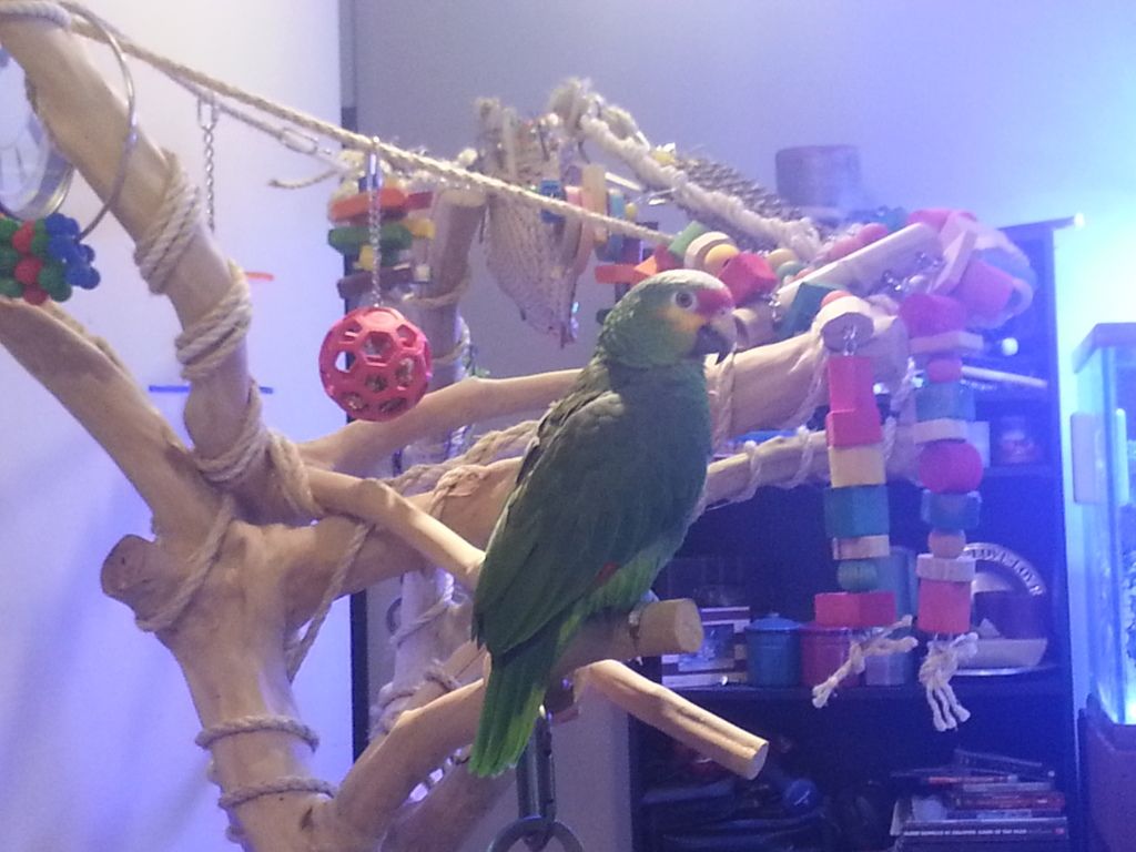 20130206_125526.jpg