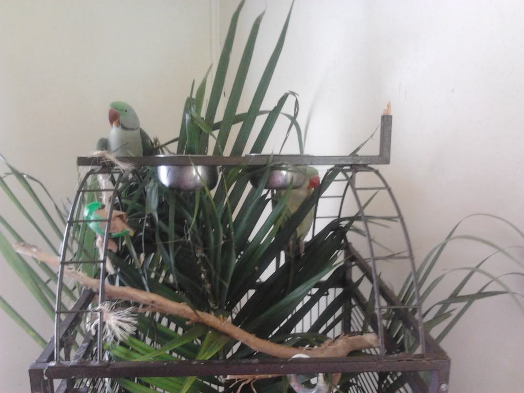 2013-03-22124429_zps42b4d40b.jpg