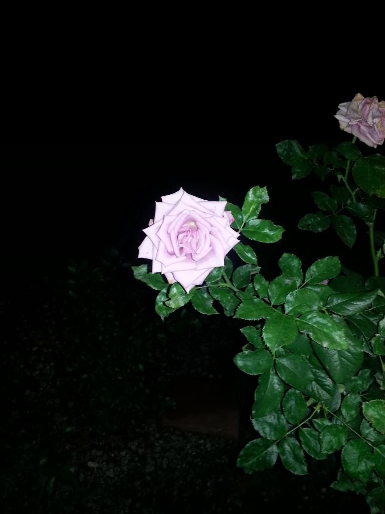 20140609_205811_zpsjybfrcte.jpg