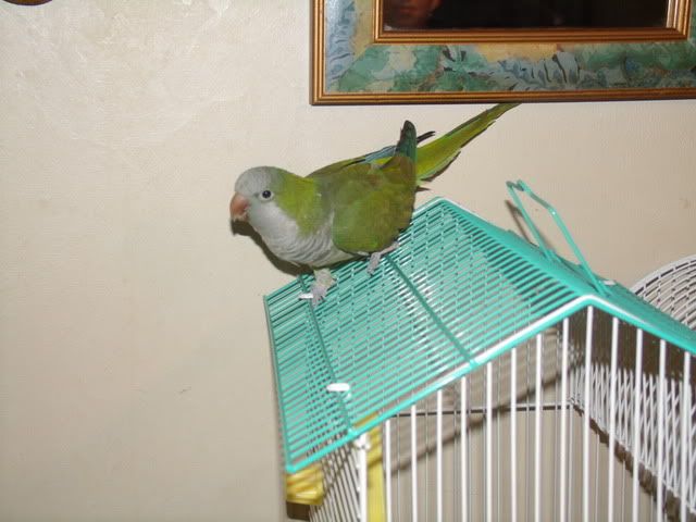 TuckandMaebell023.jpg