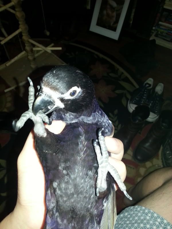 20121203_003036.jpg