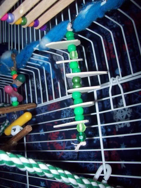 310_8810.jpg