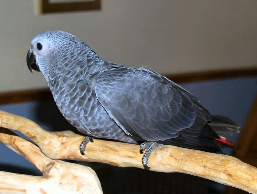kito3.jpg