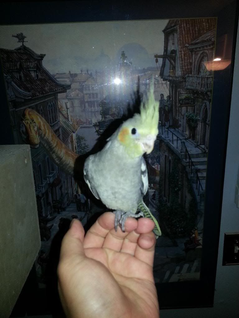 20140426_222302_zpsp3d0iats.jpg