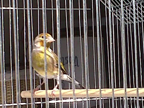 IMG00200-20100721-1719.jpg