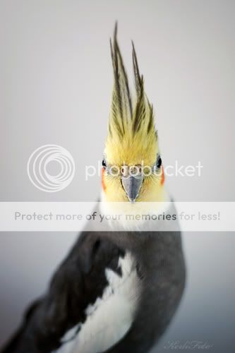 IMG_4752copy.jpg