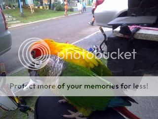 IMG-20120723-02511.jpg