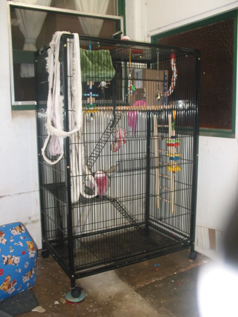 birdtoys071.jpg
