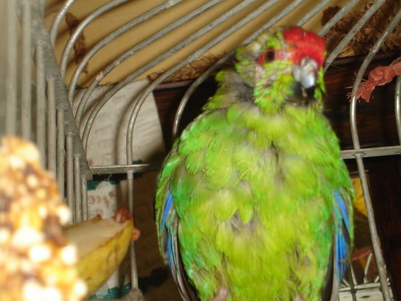 DSC00835.jpg