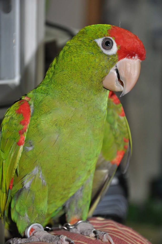 DSC_0825.jpg