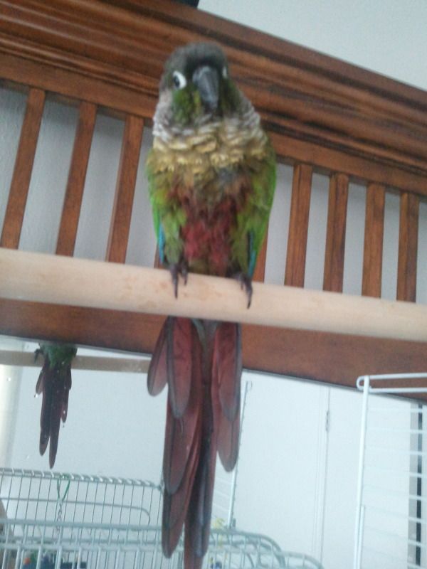 2012-07-27110538.jpg