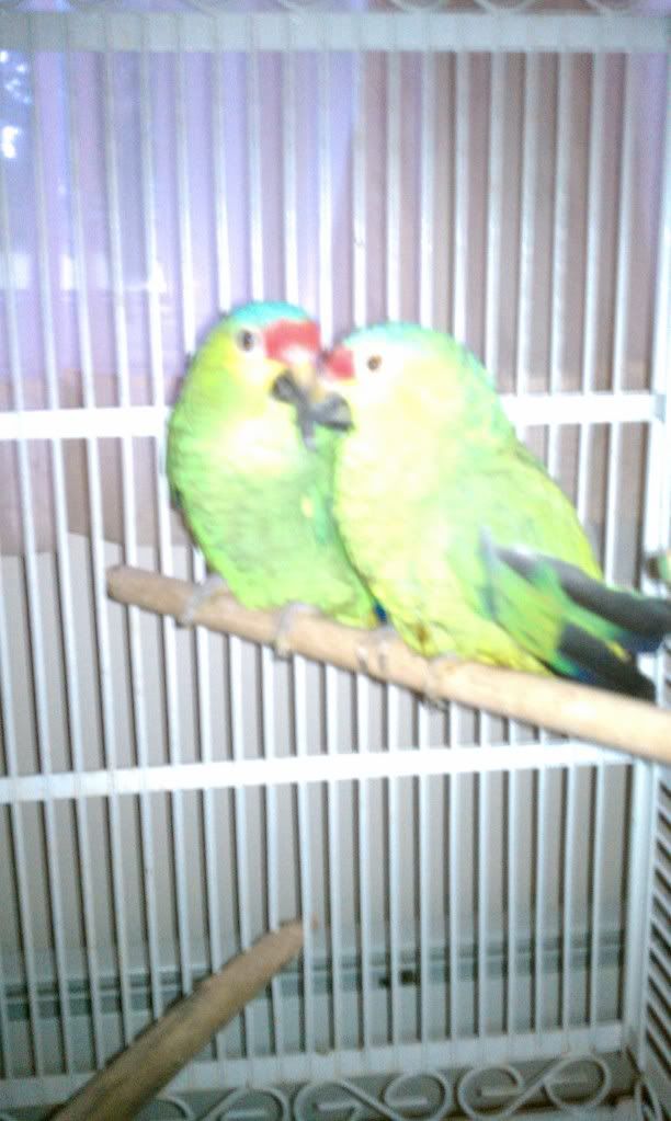 IMAG0116.jpg