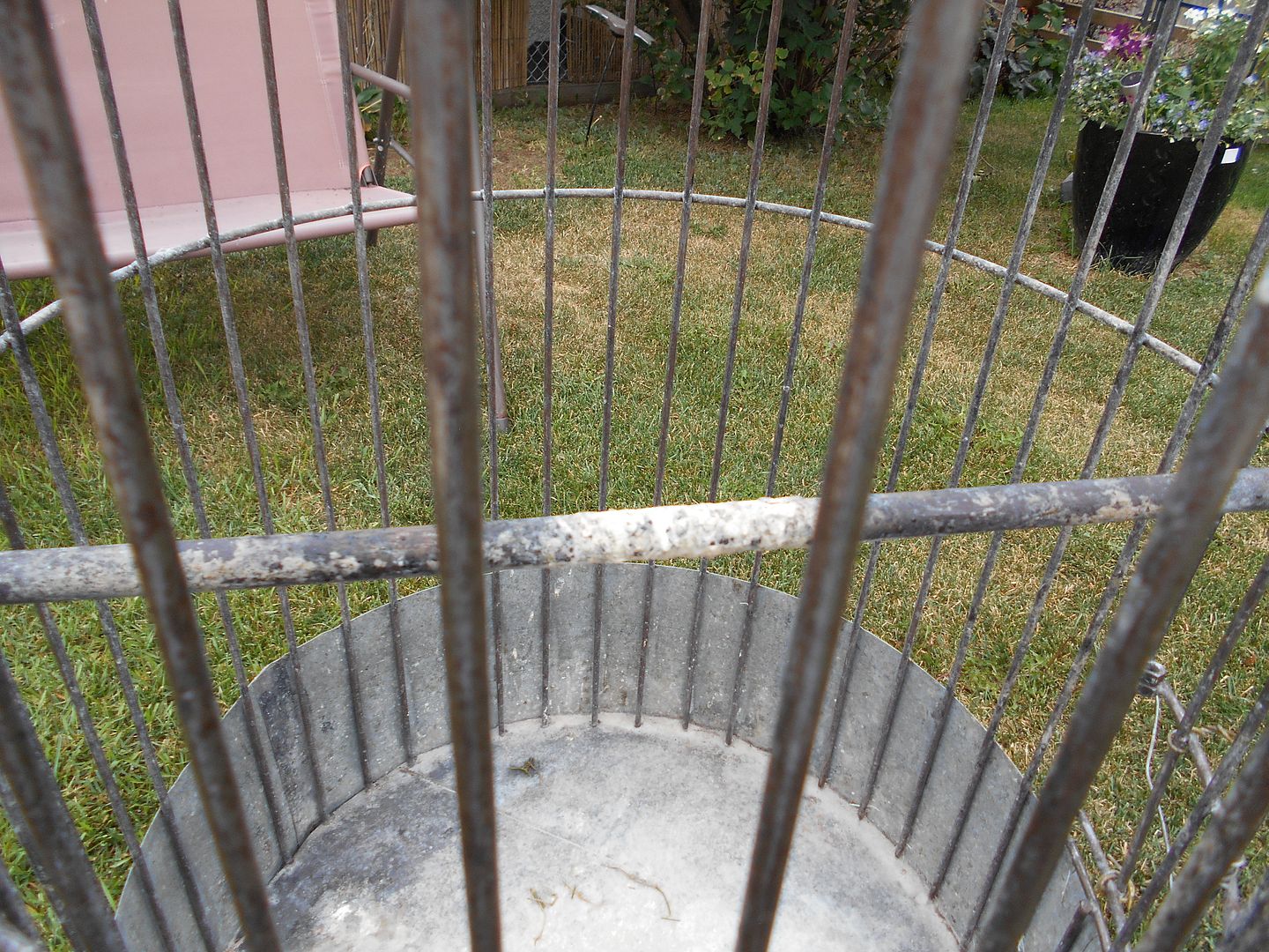 weddingcage023_zps9a554027.jpg