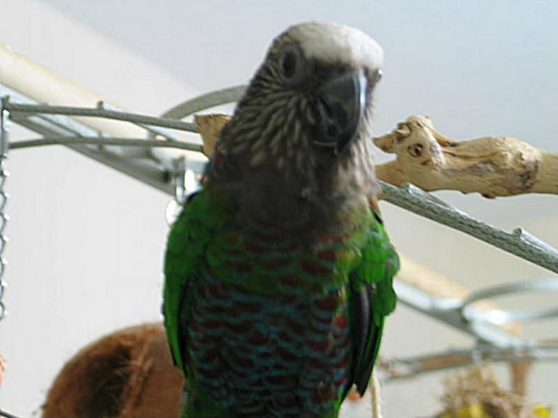 hollycochise006.jpg